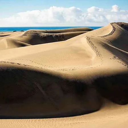 El Palmeral Lägenhet